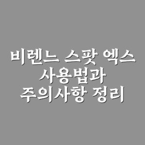 비렌느 스팟 엑스 사용법과 주의사항 정리