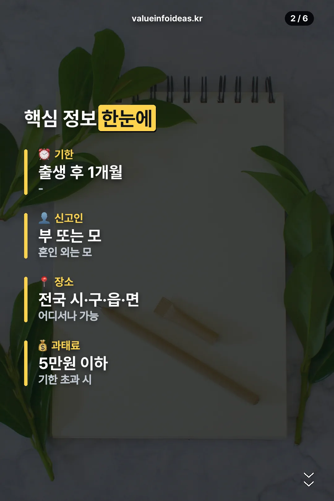 핵심 정보 한눈에
