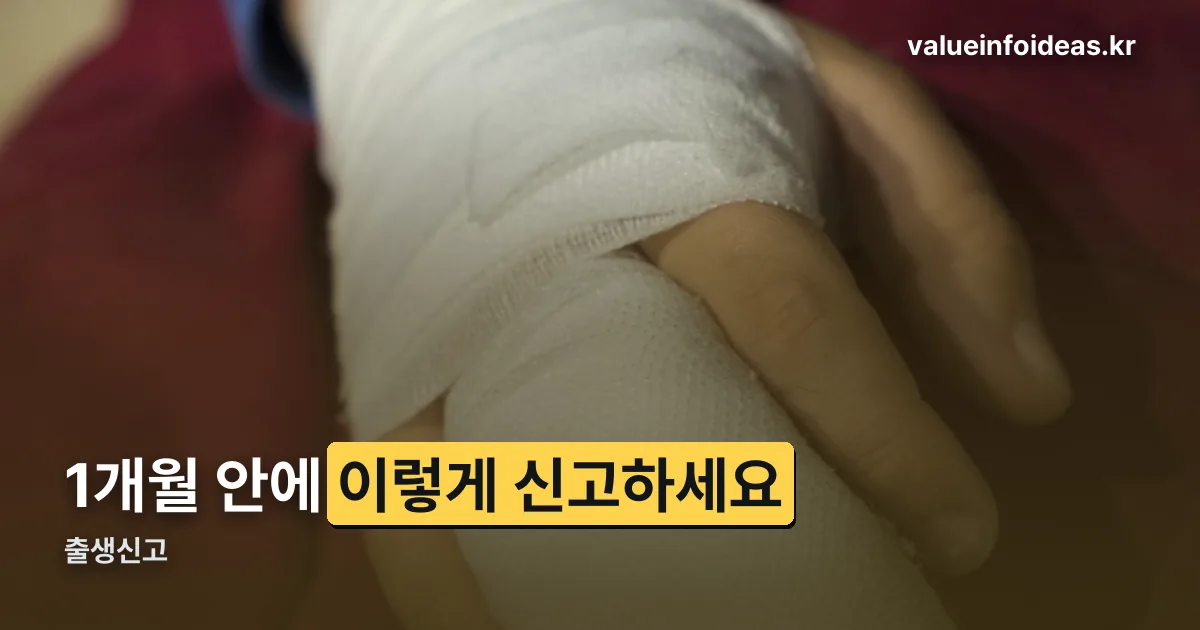 출생신고 정리 썸네일