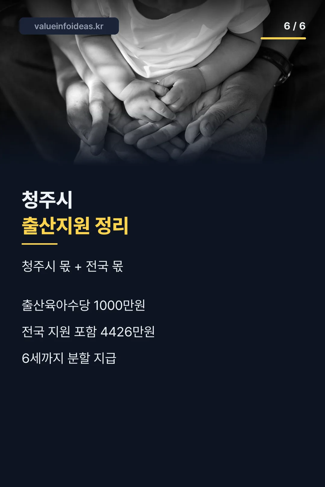 청주시 출산지원 정리