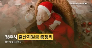 청주시 출산지원금 2026 — 자체 지원과 전국 공통 지원 구분