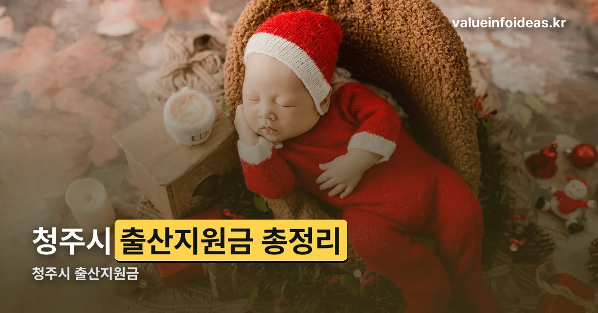 청주시 출산지원금 정리 썸네일