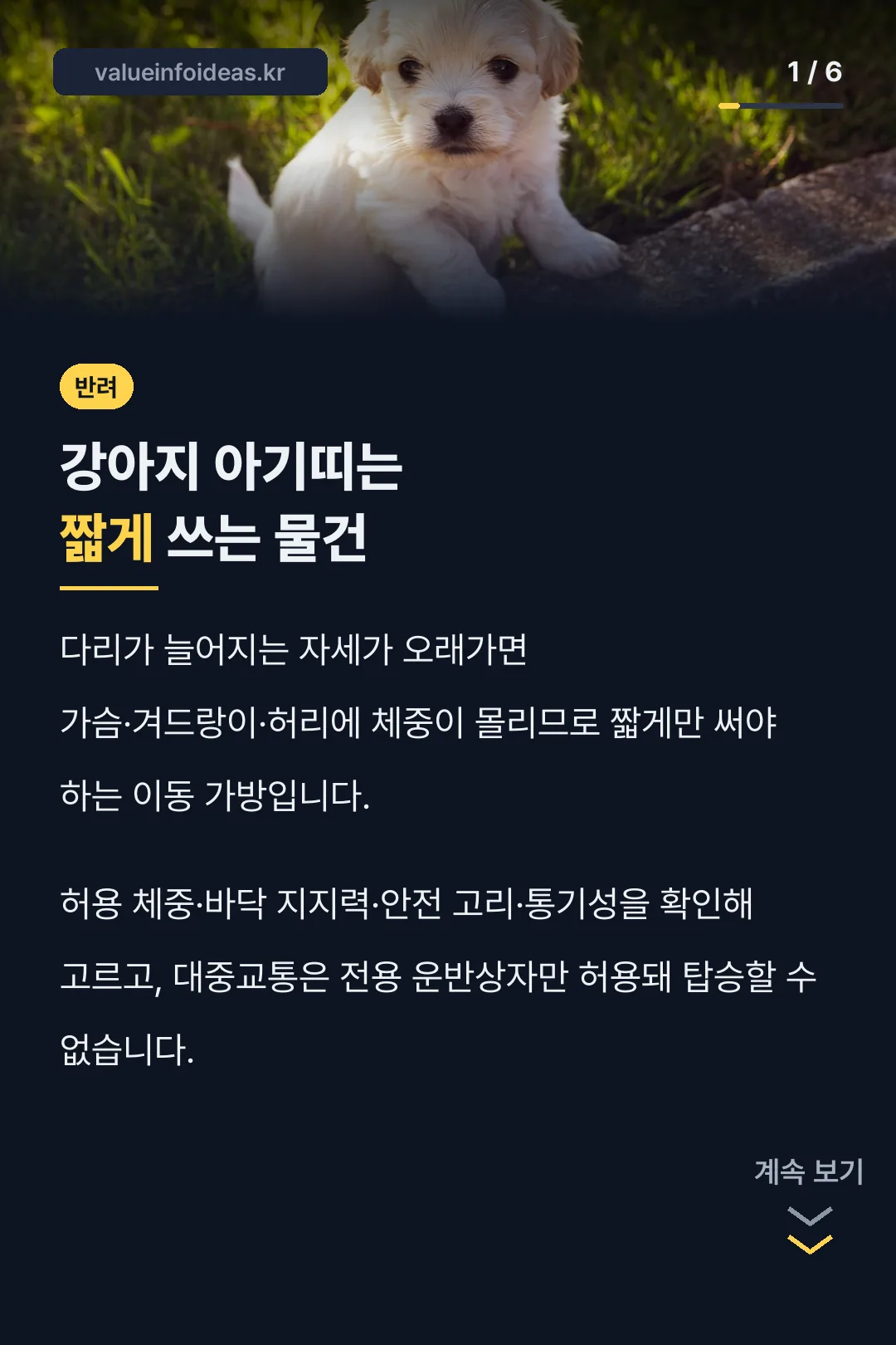 강아지 아기띠는 짧게 쓰는 물건