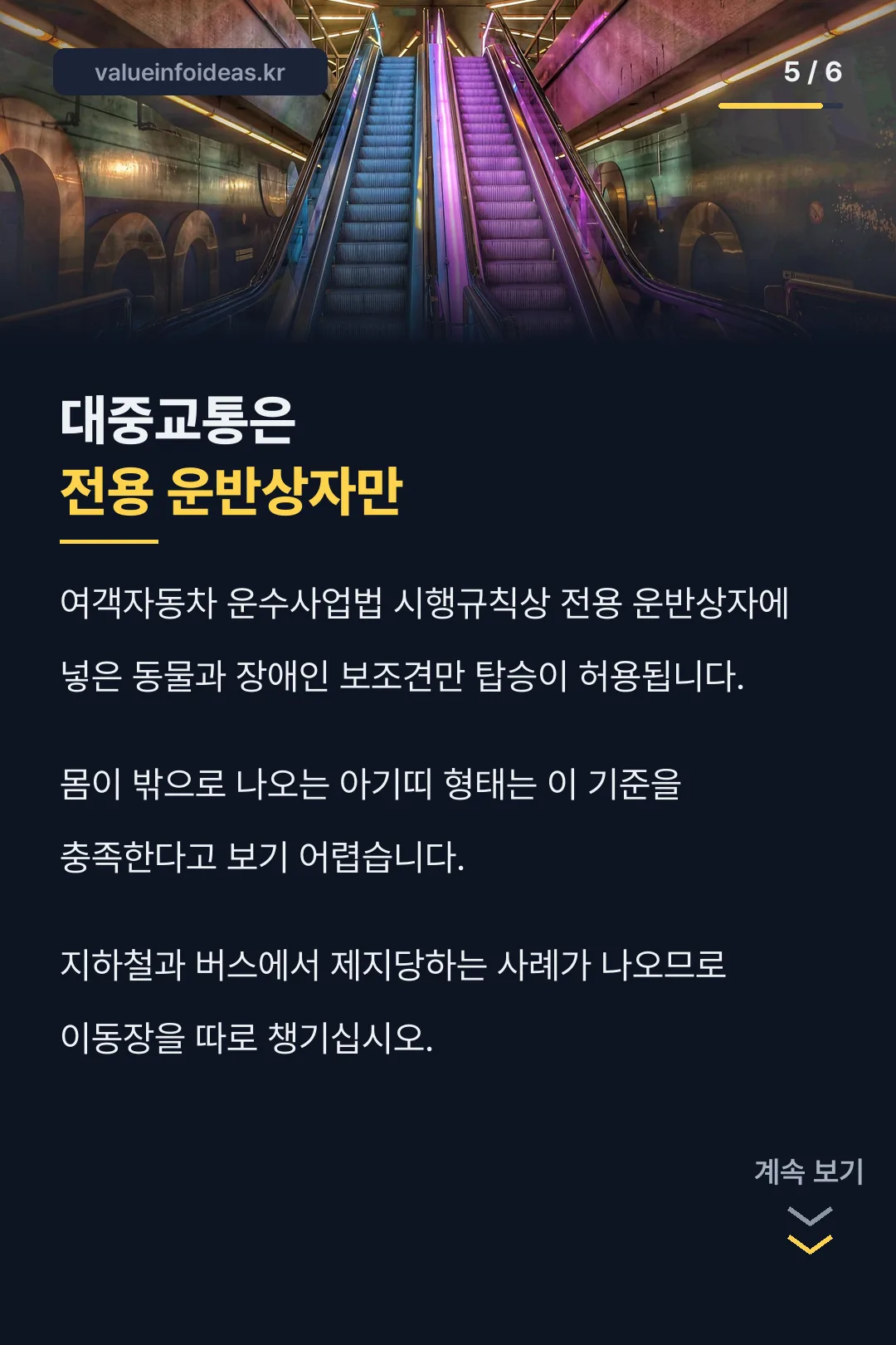 대중교통 규정
