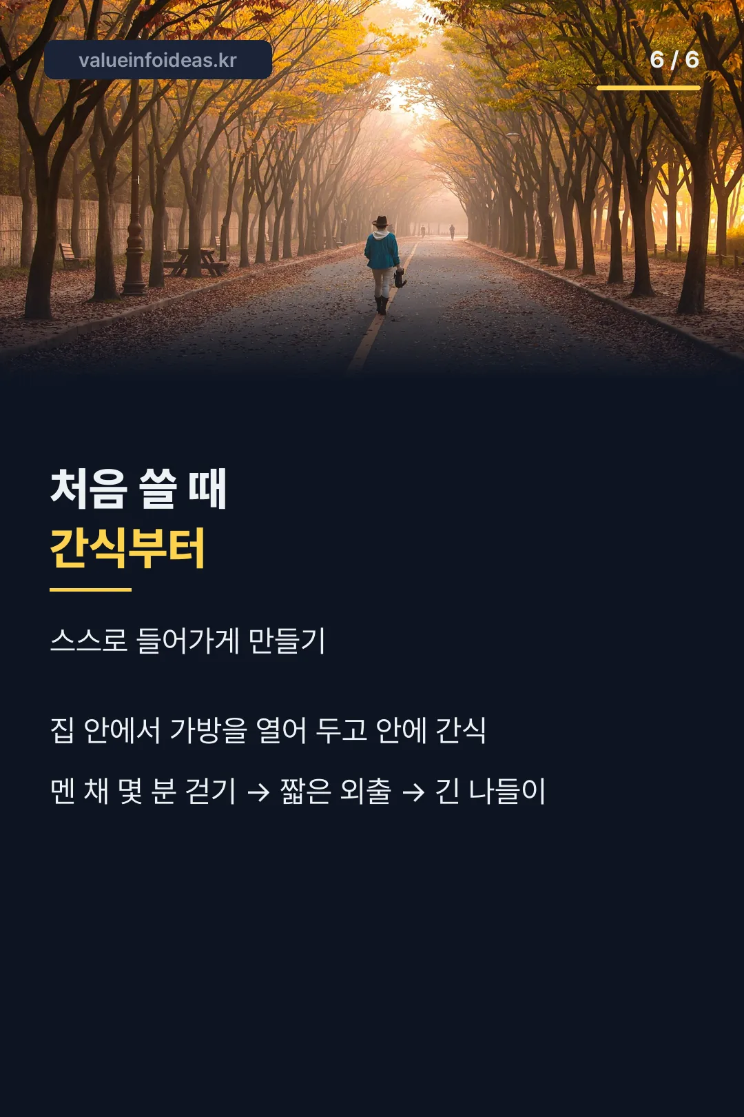 처음 적응시키는 요령