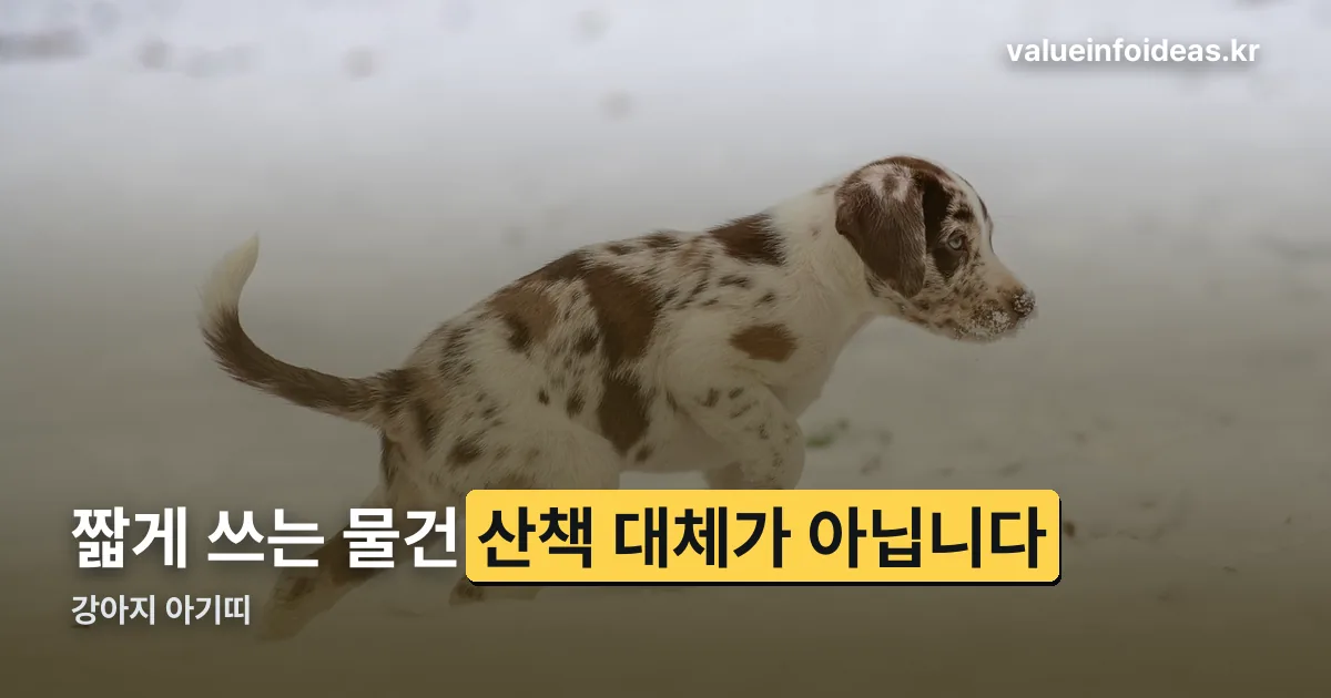 강아지 아기띠 정리 썸네일
