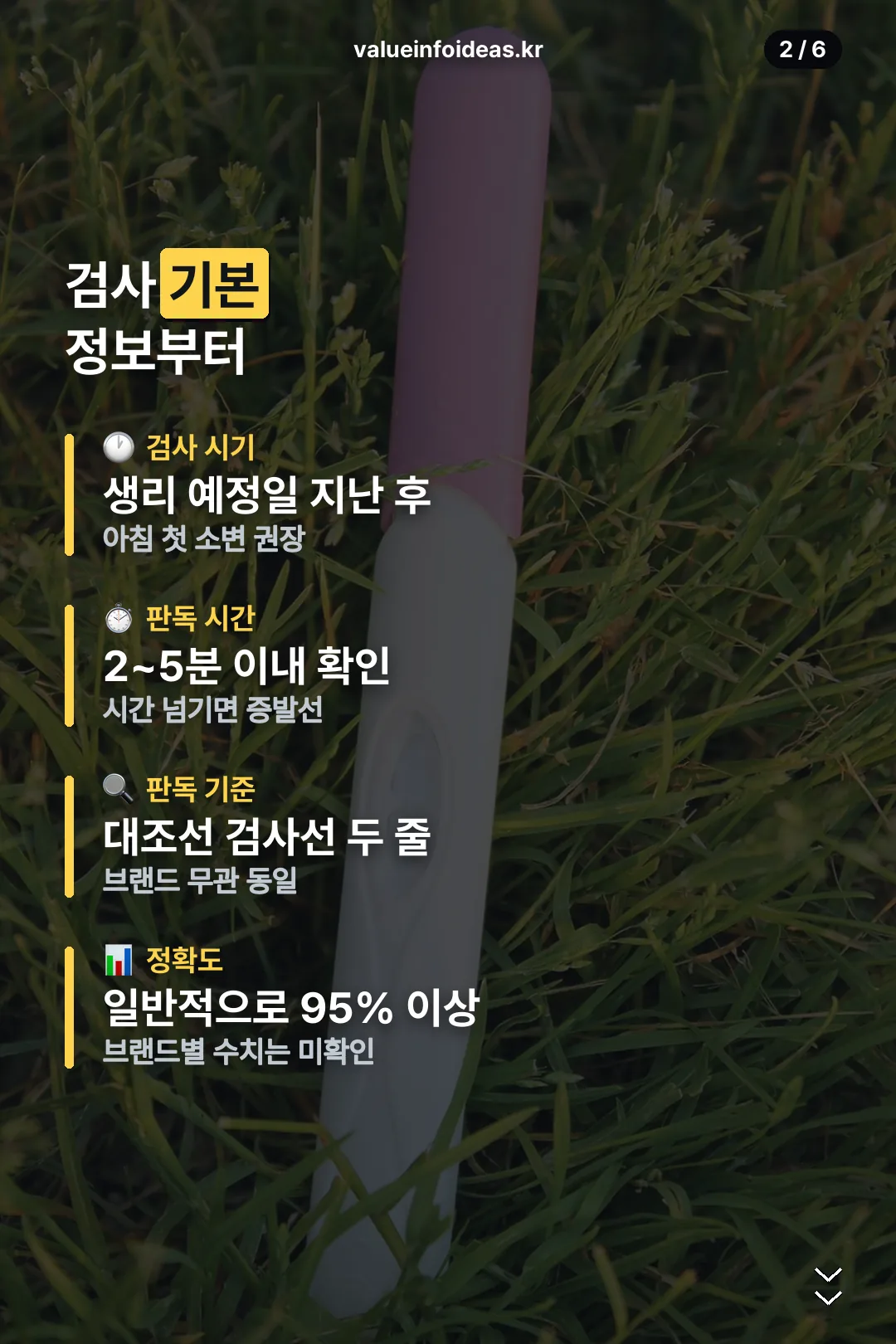 검사 기본 정보