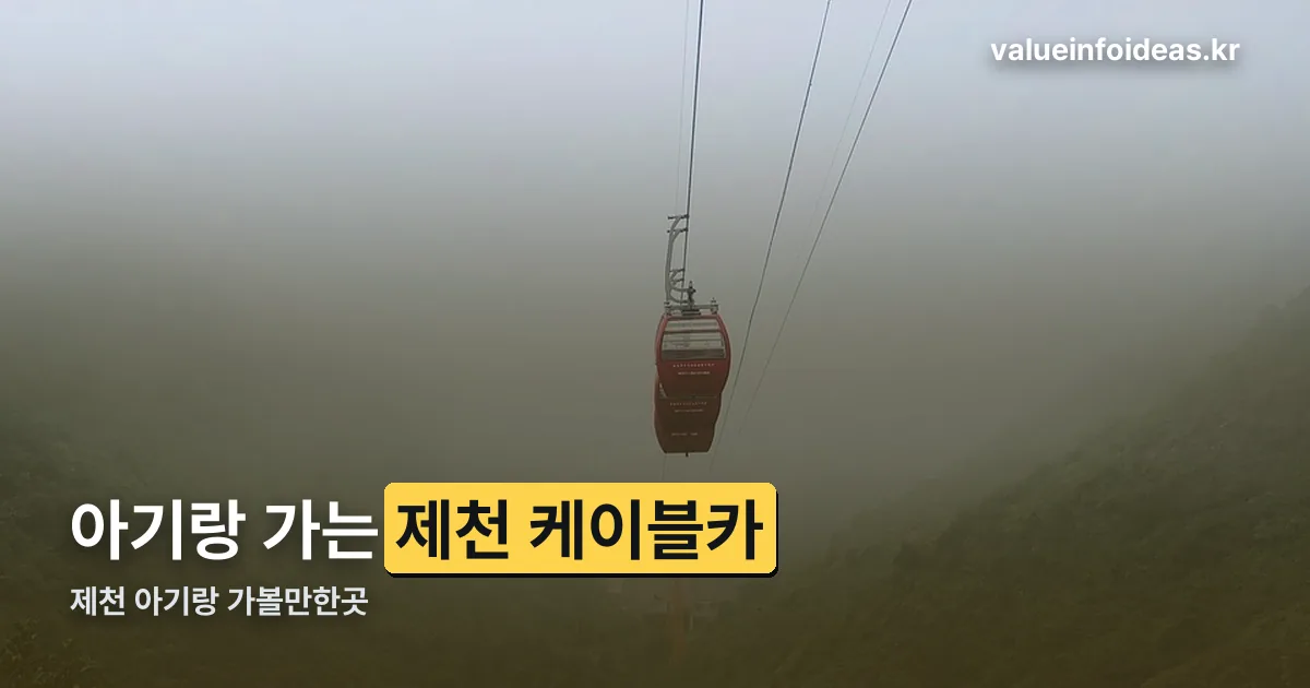 제천 아기랑 가볼만한곳 정리 썸네일