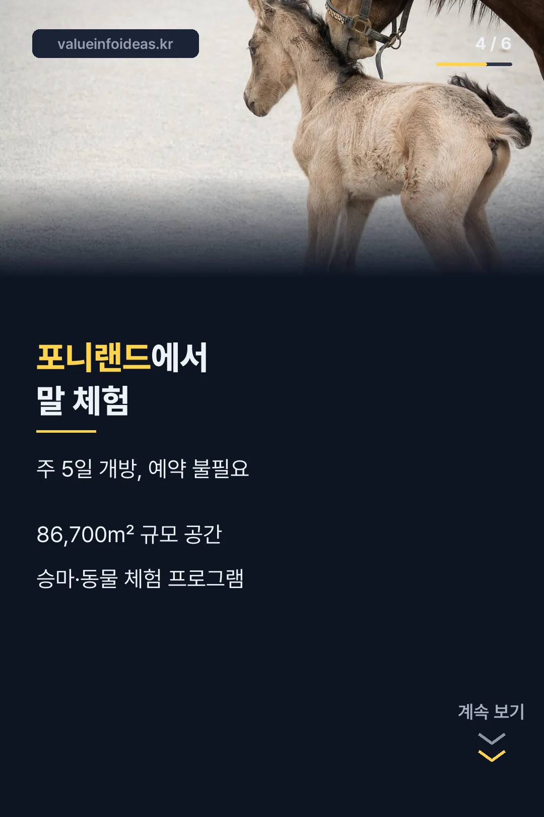 포니랜드 말 체험