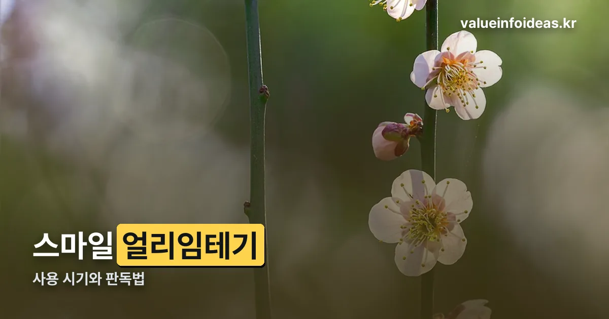 스마일 얼리임테기 정리 썸네일