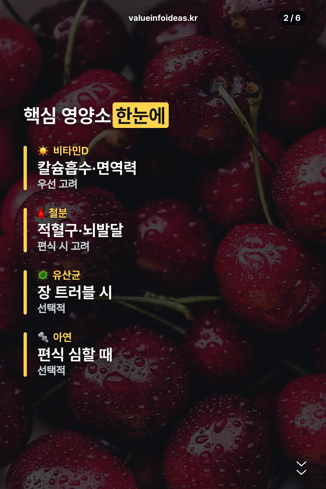 핵심 영양소 한눈에