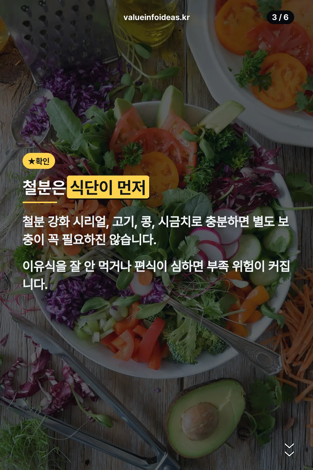 철분 보충 기준