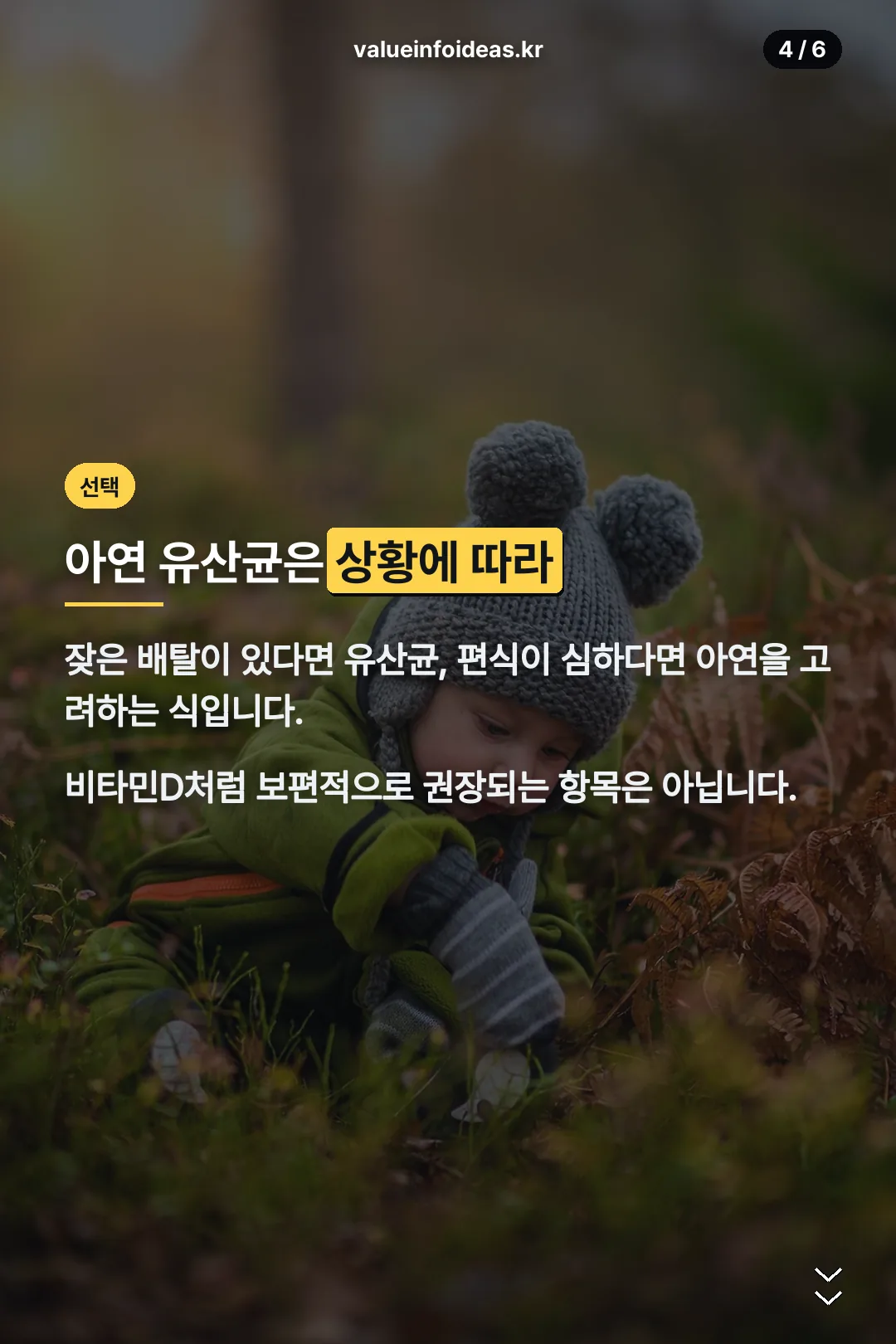아연 유산균 선택 기준