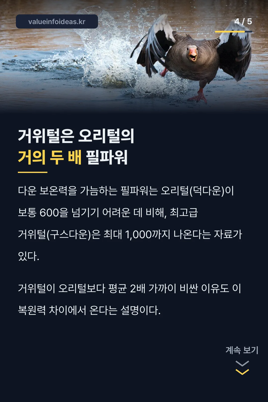 필파워 숫자 비교