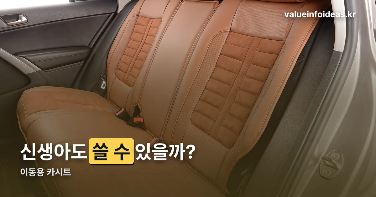 이동용 카시트 정리 썸네일