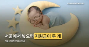 서울 산후도우미 지원금 — 헷갈리는 두 제도, 금액까지 구분했습니다