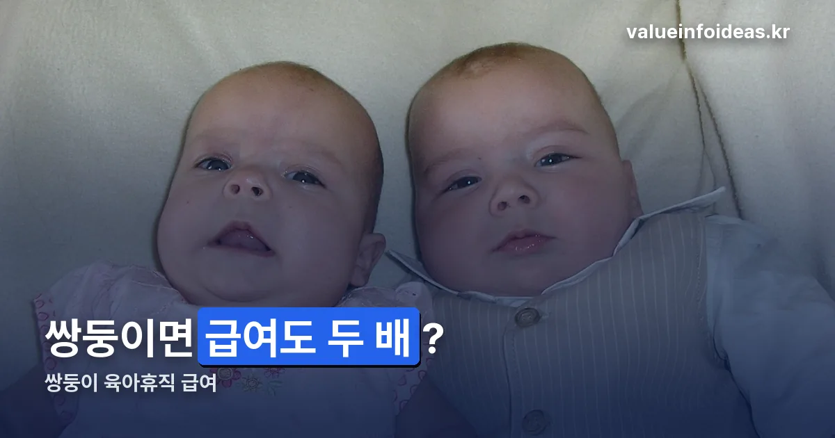 쌍둥이 육아휴직 급여 정리 썸네일