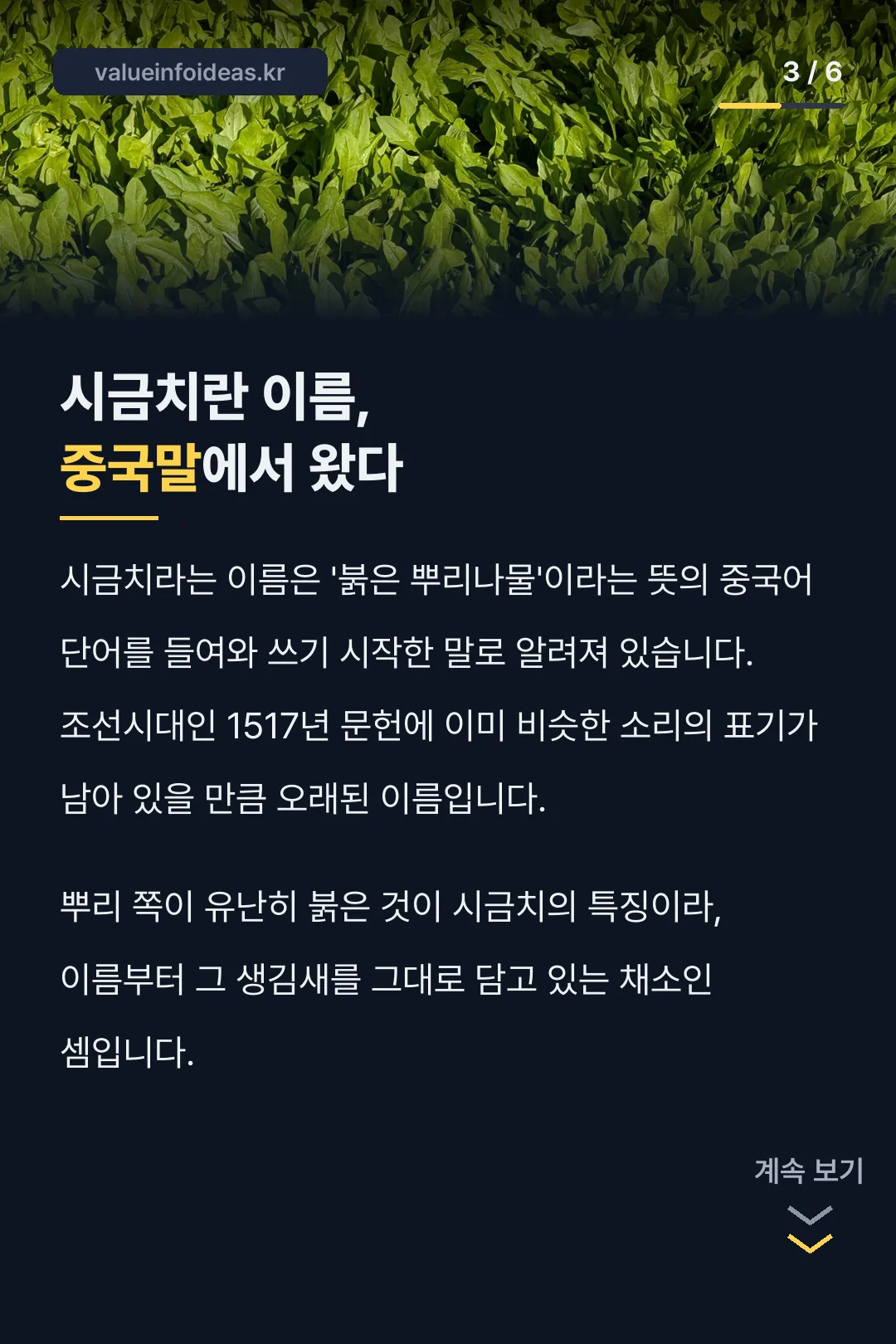 시금치 이름 중국어 유래