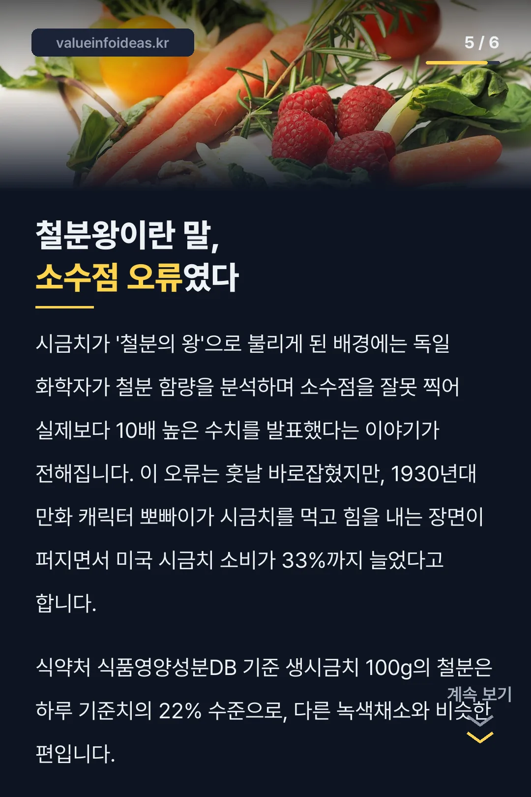 철분왕 오해 소수점 오류